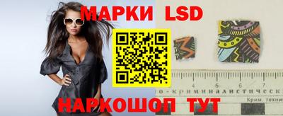 кокс Можга