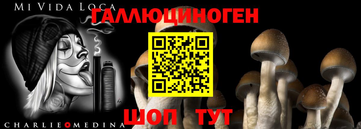 Чехов  Галлюциногенные грибы Psilocybine cubensis  Вход с VPN  Галлюциногенные грибы прущие грибы 